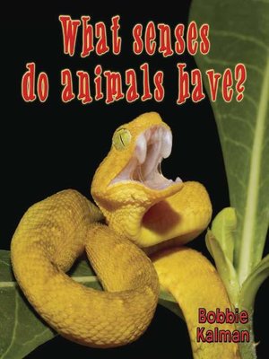 cover image of What senses do animals have?